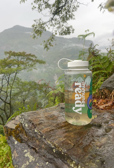 Immune Ready lifestyle